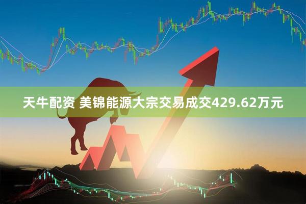 天牛配资 美锦能源大宗交易成交429.62万元