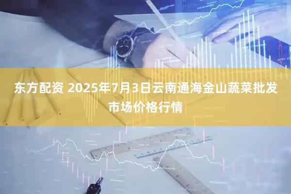 东方配资 2025年7月3日云南通海金山蔬菜批发市场价格行情